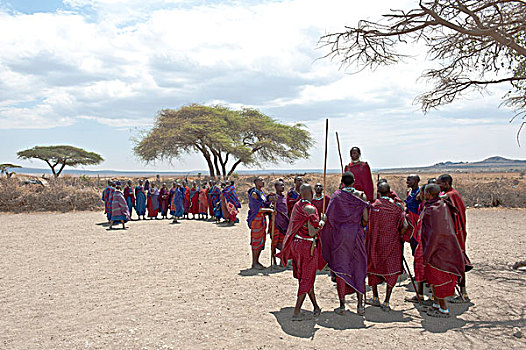 群体,女人,一群人,男人,跳跃,跳舞,马萨伊,乡村,恩格罗恩格罗,区域,塞伦盖蒂国家公园,坦桑尼亚,东非,非洲
