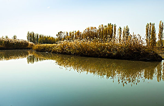 博斯腾湖秋景