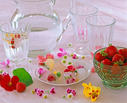 食用花卉,冰冻,冰块,金莲花属植物
