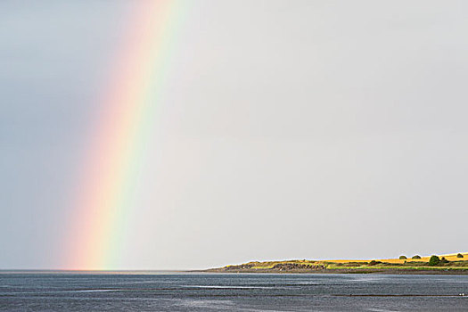 漂亮,彩虹,上方,爱尔兰海,湾,爱尔兰