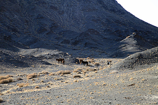 新疆哈密,戈壁荒漠地貌