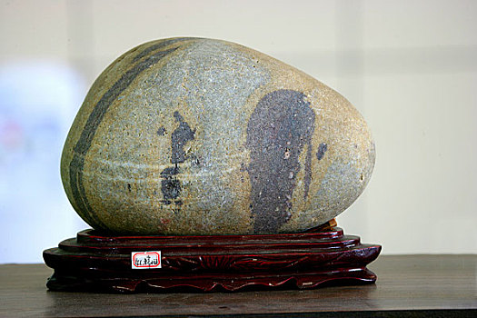 重庆花卉艺术节中展示的三峡奇石,山