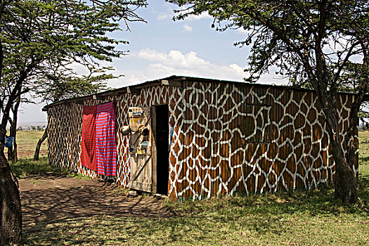 肯尼亚,纳库鲁湖,户外,乡村,涂绘,标记
