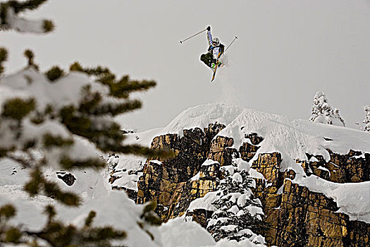 男性,滑雪者,悬崖,踢,马,边远地区,金色