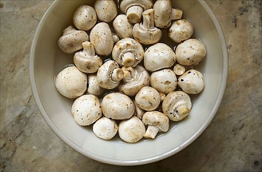 碗,新鲜,白色,蘑菇,俯视