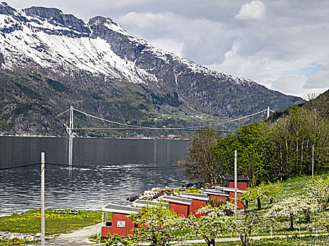 桥,露营,小屋,风景,雪山,峡湾,苹果树,开花,春天,靠近,挪威,斯堪的纳维亚,欧洲