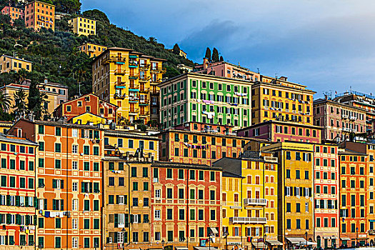 特写,彩色,酒店,公寓,山坡,卡莫利,利古里亚,意大利