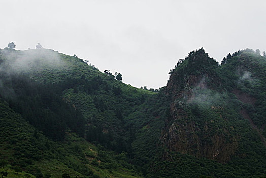 河北承德坝上,国家一道风景大道,夏日风景