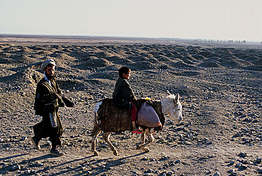 阿富汗,男人,走,后面,儿子,骑,驴,地形崎岖,人,整洁,城市,赫拉特