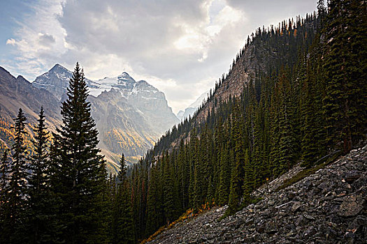 落基山脉,风景,班芙国家公园,艾伯塔省,加拿大