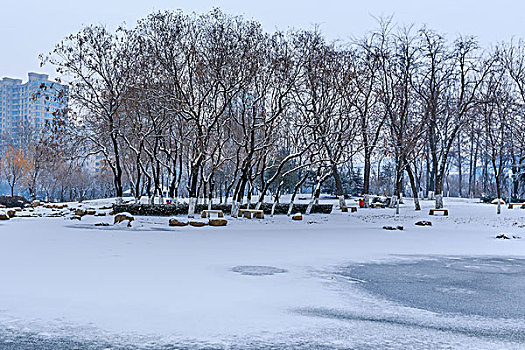 公园雪景