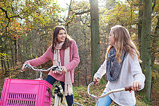 少女,树林,坐,自行车,粉色,板条箱,联结,面对面,微笑