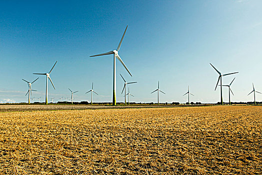 风电场,收获,残梗地,靠近,费马恩岛,石荷州,德国,欧洲