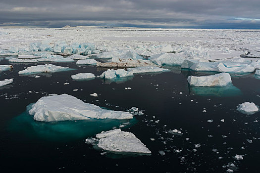 浮冰,海峡,分隔,陆地,斯瓦尔巴特群岛,挪威