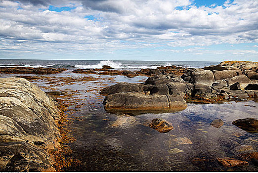 岩石,海岸线,新斯科舍省,加拿大