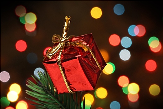 礼盒,上方,圣诞节,枝条,树