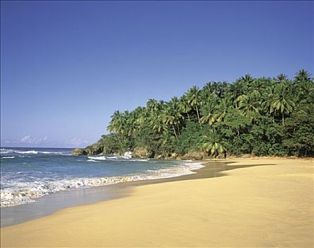 多米尼加共和国,海滩,靠近,圣胡安