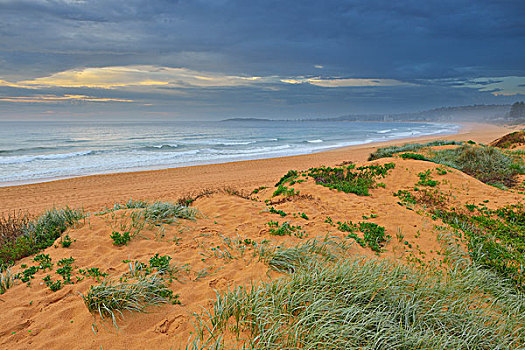 海滩,早晨,北方,悉尼,新南威尔士,澳大利亚