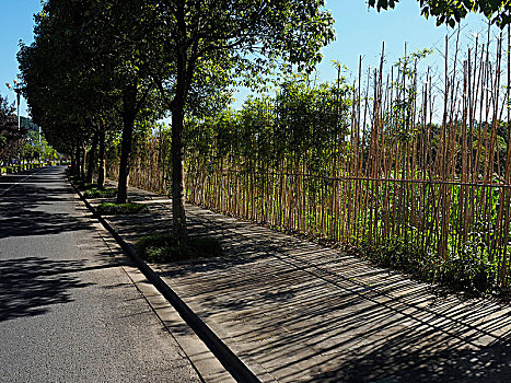 竹篱笆和行道树