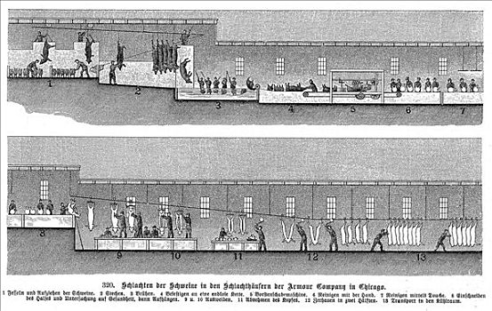 护甲,猪,屠宰场,芝加哥,伊利诺斯,美国,艺术家,未知