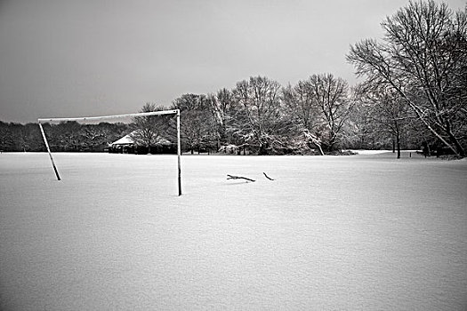 雪,公园