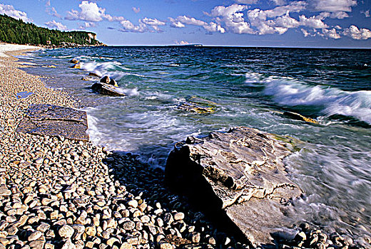 海岸线,乔治亚湾,原木,布鲁斯半岛国家公园,安大略省,加拿大