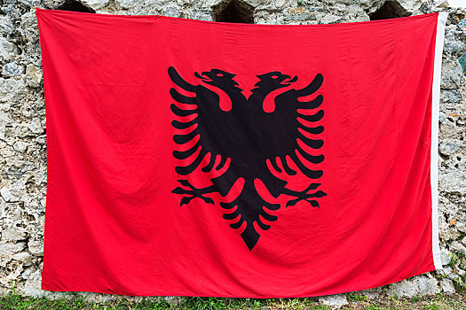 阿尔巴尼亚,旗帜,鹰,欧洲