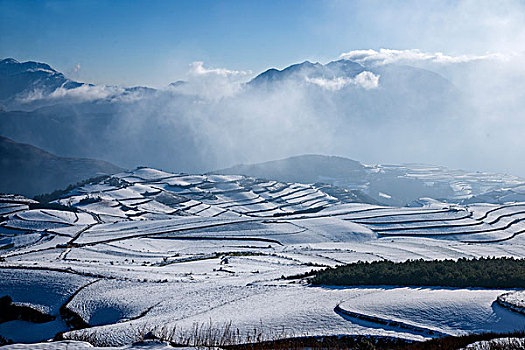 云南东川雪后,锦绣园,红土地