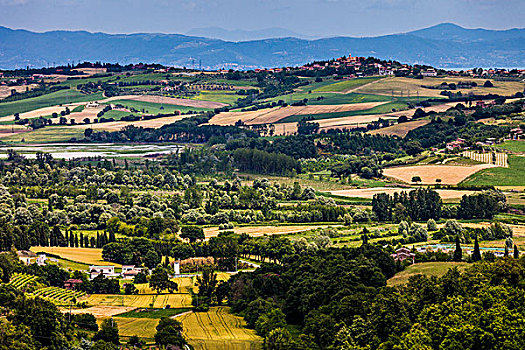 俯视,农田,丘西,锡耶纳省,托斯卡纳,意大利