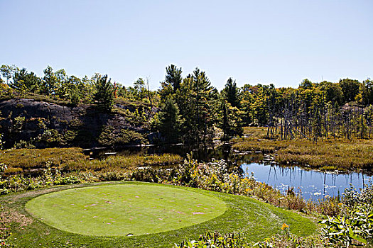 高尔夫球场,安大略省,加拿大
