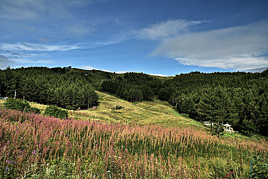 河北省石家庄市平山县驼梁风景区