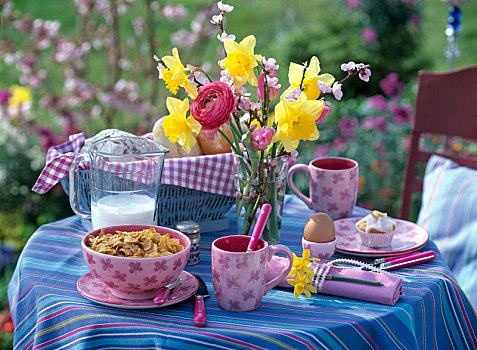 早餐桌,花束,水仙,樱桃属