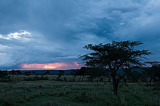 风暴,马赛马拉国家保护区,肯尼亚,非洲