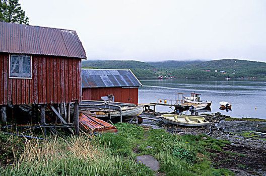 挪威,靠近,捕鱼,小屋
