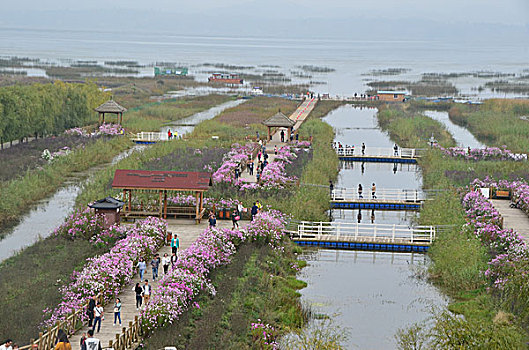 草海,风光