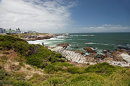 海岸,西海角,南非,非洲