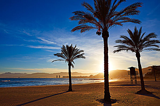干盐湖,海滩,日落,地中海,瓦伦西亚,西班牙
