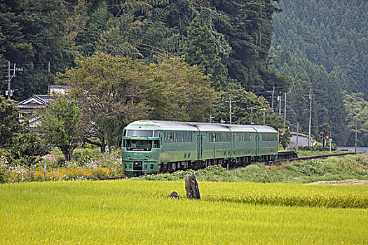 列车,乡村,日本