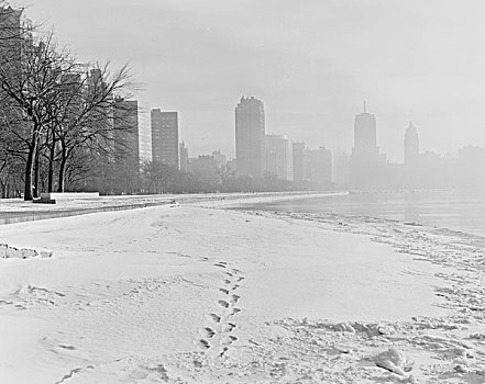 美国,芝加哥,伊利诺斯,冬天,城市