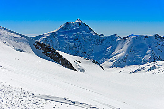 积雪,北方,脸,伯尔尼阿尔卑斯山,区域,瓦莱,瑞士,欧洲