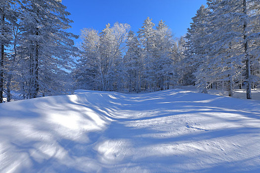 老里克湖冰雪风光