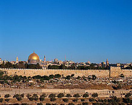 以色列,耶路撒冷,老城,橄榄