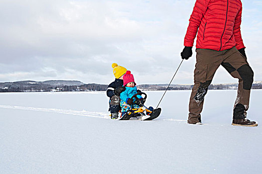 父亲,拉拽,儿子,雪橇,雪中,遮盖,风景,下部