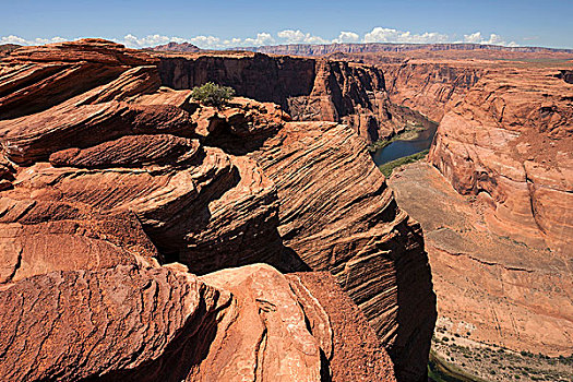 侵蚀,岩石构造,马掌,弯曲,页岩,亚利桑那,美国,北美