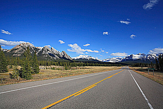 公路,萨斯喀彻温,穿过,赤鹿,艾伯塔省,加拿大