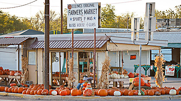 农贸市场,秋天,德克萨斯