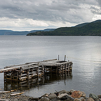 码头,湖,格罗莫讷国家公园,纽芬兰,拉布拉多犬,加拿大