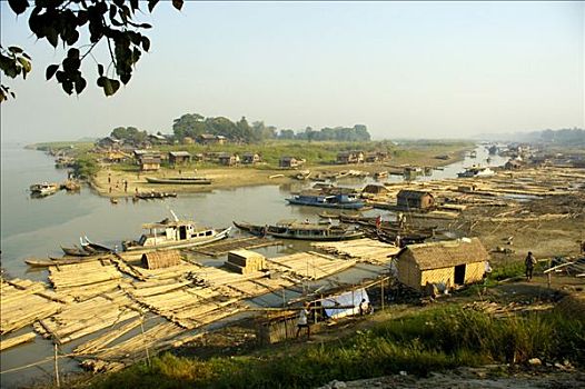 河,伊洛瓦底江,水牛,曼德勒,缅甸