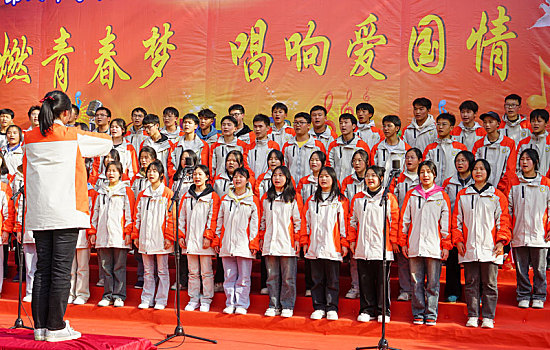 乒乓球团体世界杯中国女乒3