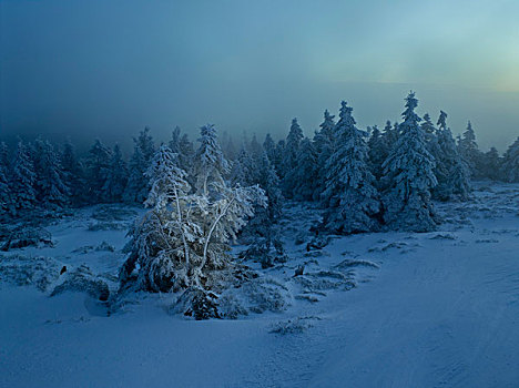 冬天,早晨,布罗肯,哈尔茨山,萨克森安哈尔特,德国